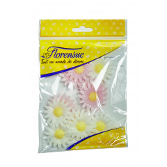 10 marguerites en azyme bio