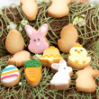 Kit 6 mini emporte-pièces Pâques